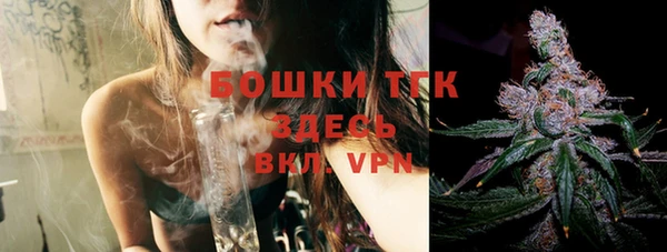 тгк Горно-Алтайск