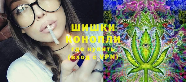 тгк Горно-Алтайск