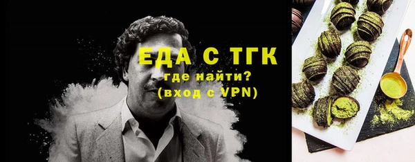 дмт Горняк