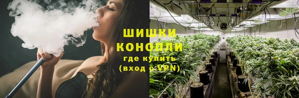 тгк Горно-Алтайск