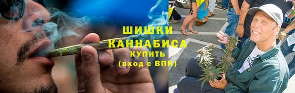 тгк Горно-Алтайск