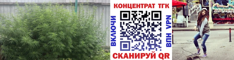 Дистиллят ТГК концентрат  Пучеж 