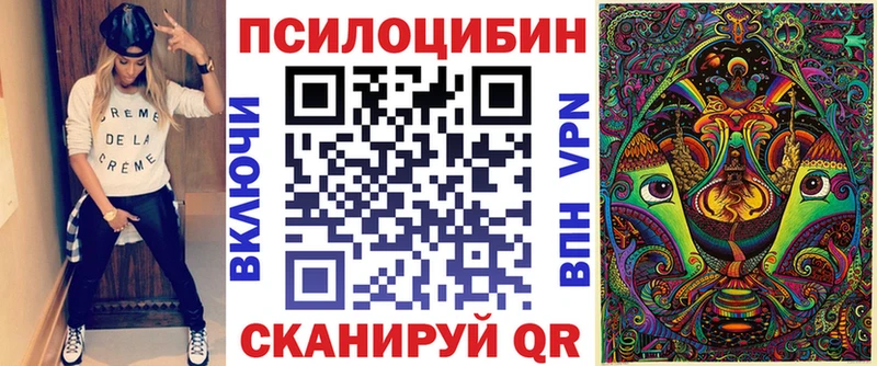 купить наркотики сайты  Пучеж  Псилоцибиновые грибы Cubensis 