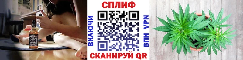 Канабис семена  Пучеж 